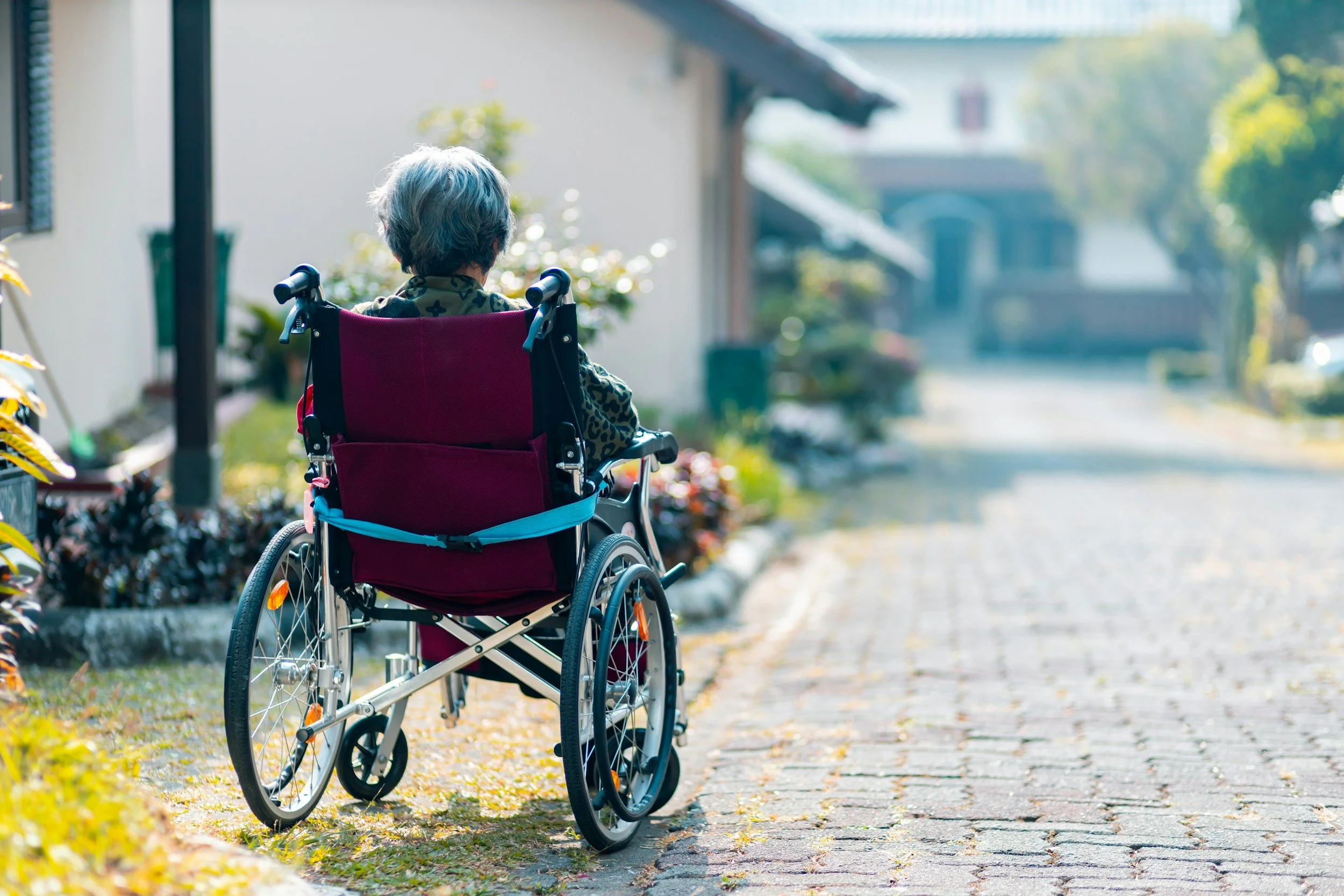 Healthcare Facility Patient Transportation Support